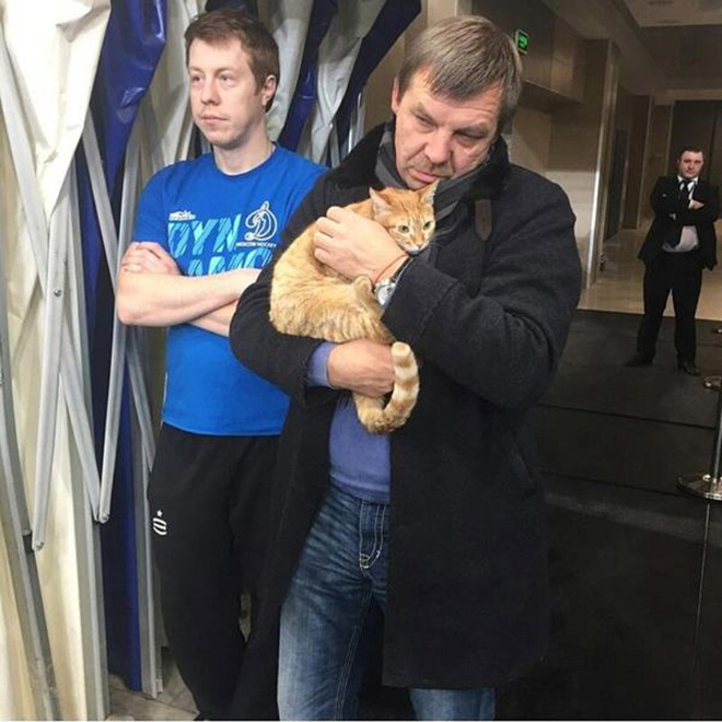 Кошка Машка – любимица Олега Знарка Кошка Машка – любимица Олега Знарка