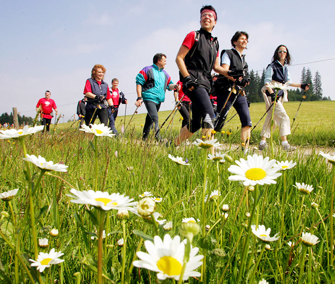 Walking all day. International Walking Day.