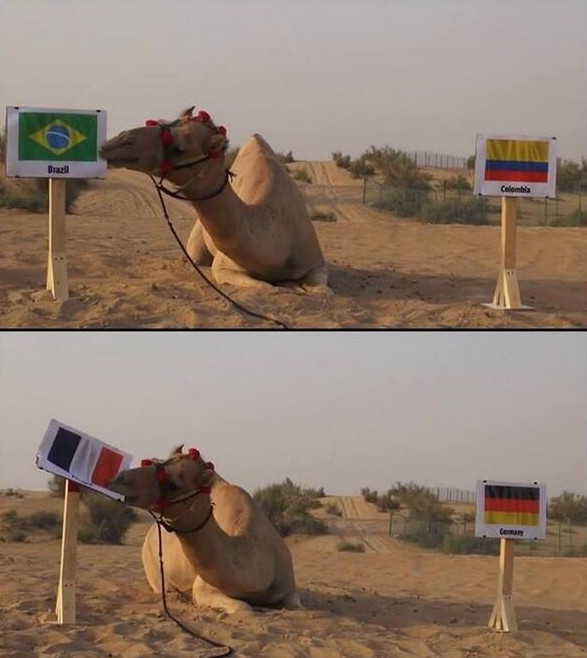 Источник — @GeniusFootball Источник — @GeniusFootball