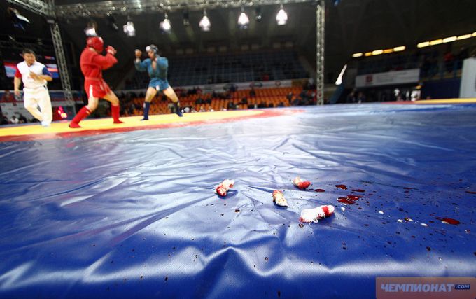 Чемпионат России по боевому самбо 2012 Чемпионат России по боевому самбо 2012