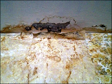 Потолки, с которых сочится и течёт Потолки, с которых сочится и течёт