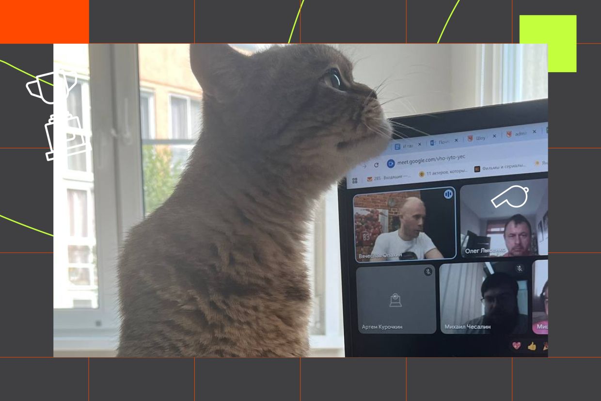Кот Ливерпуль участвует в планёрке