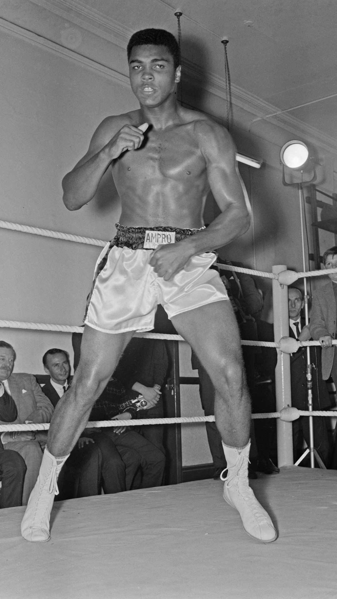 Самый большой гонорар Али — $ 7,9 млн за бой против Ларри Холмса в 1980 году. Это был его предпоследний поединок в профессиональной карьере.