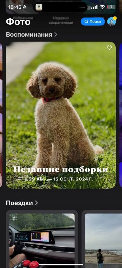 Новая галерея Новая галерея