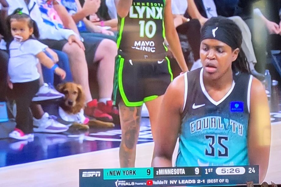 Собака-зритель на четвёртом матче финала WNBA — 2024
