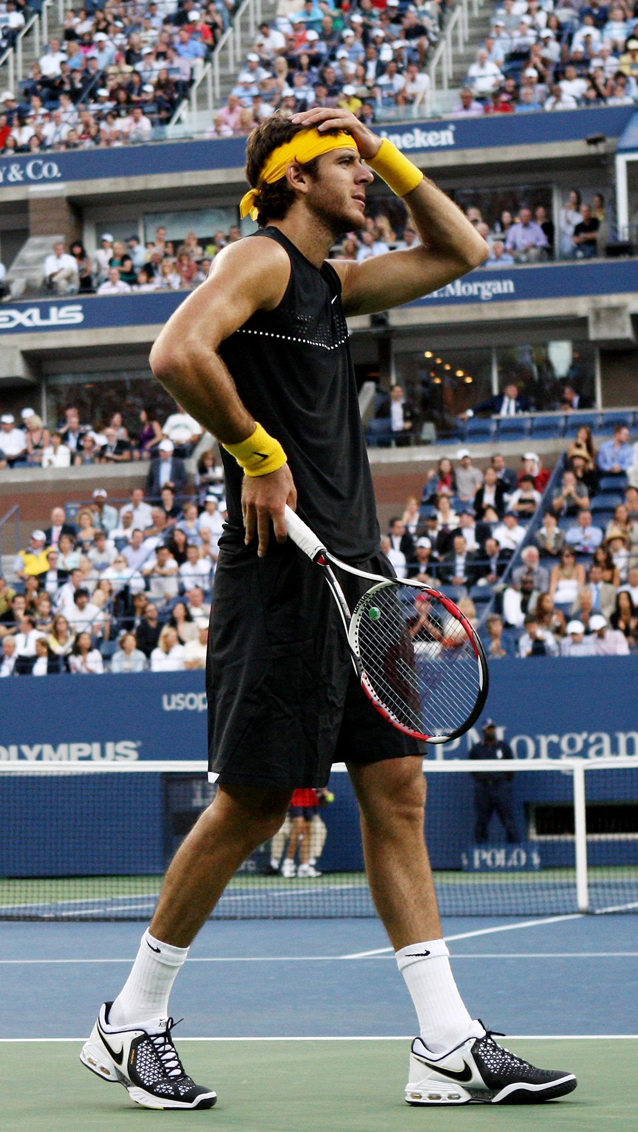 Триумф на US Open — 2009 так и остался его единственной крупной победой