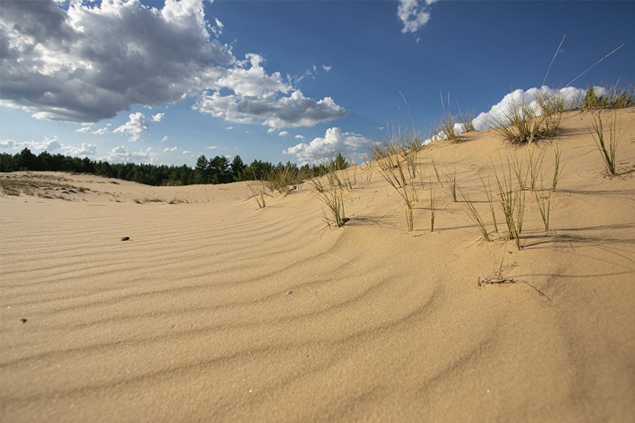 Донская Сахара