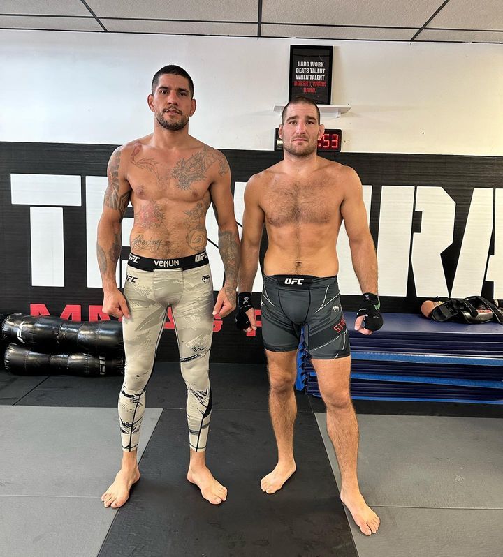 Алекс перейра. Алекс перейра лучшее. Перейра юфс 300. Алекс перейра лучшее. Алекс перейра хамзат чимаев.