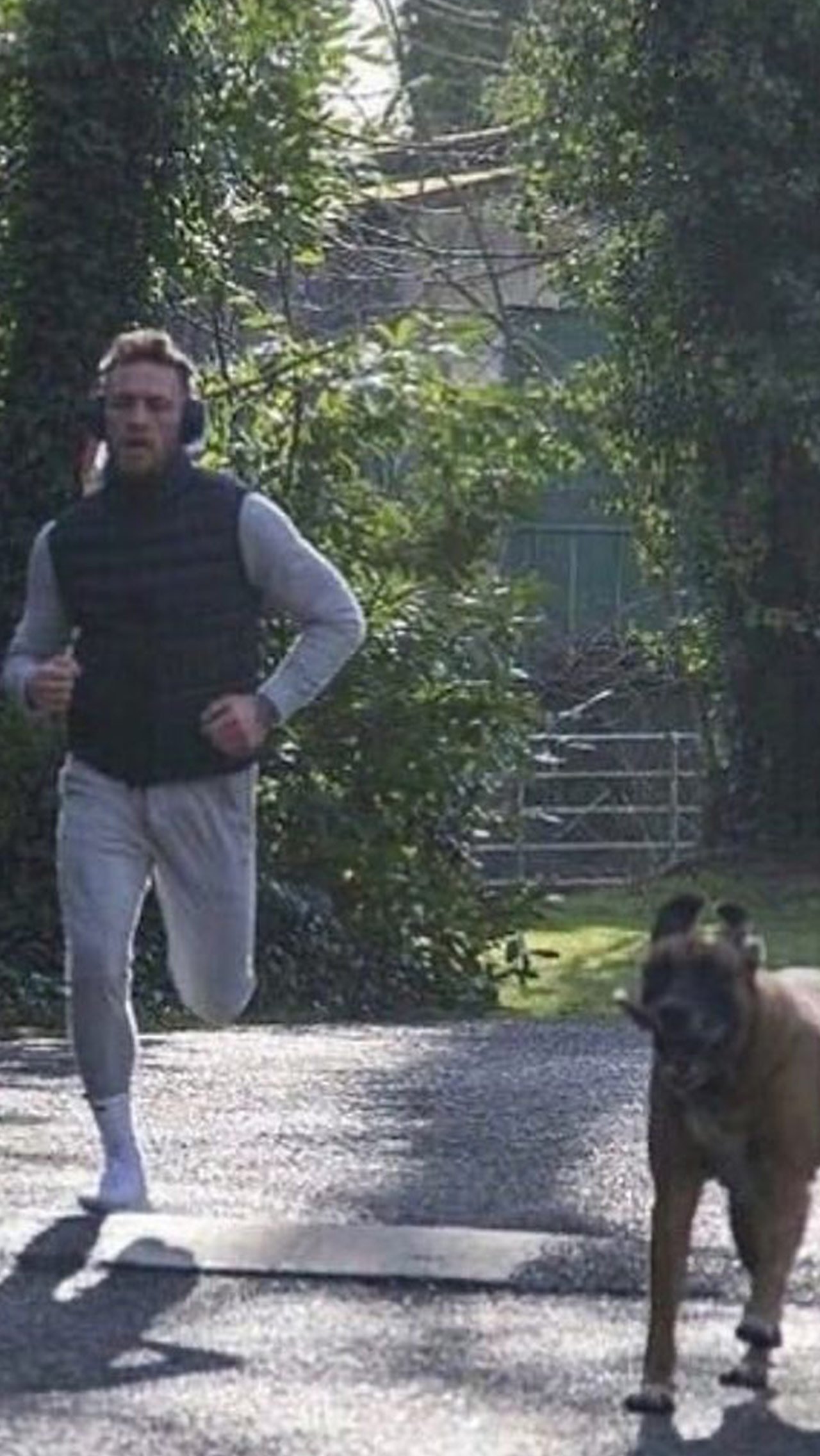 Макгрегор любил брать своего пса на утренние 10-километровые пробежки и заниматься с ним спортом.