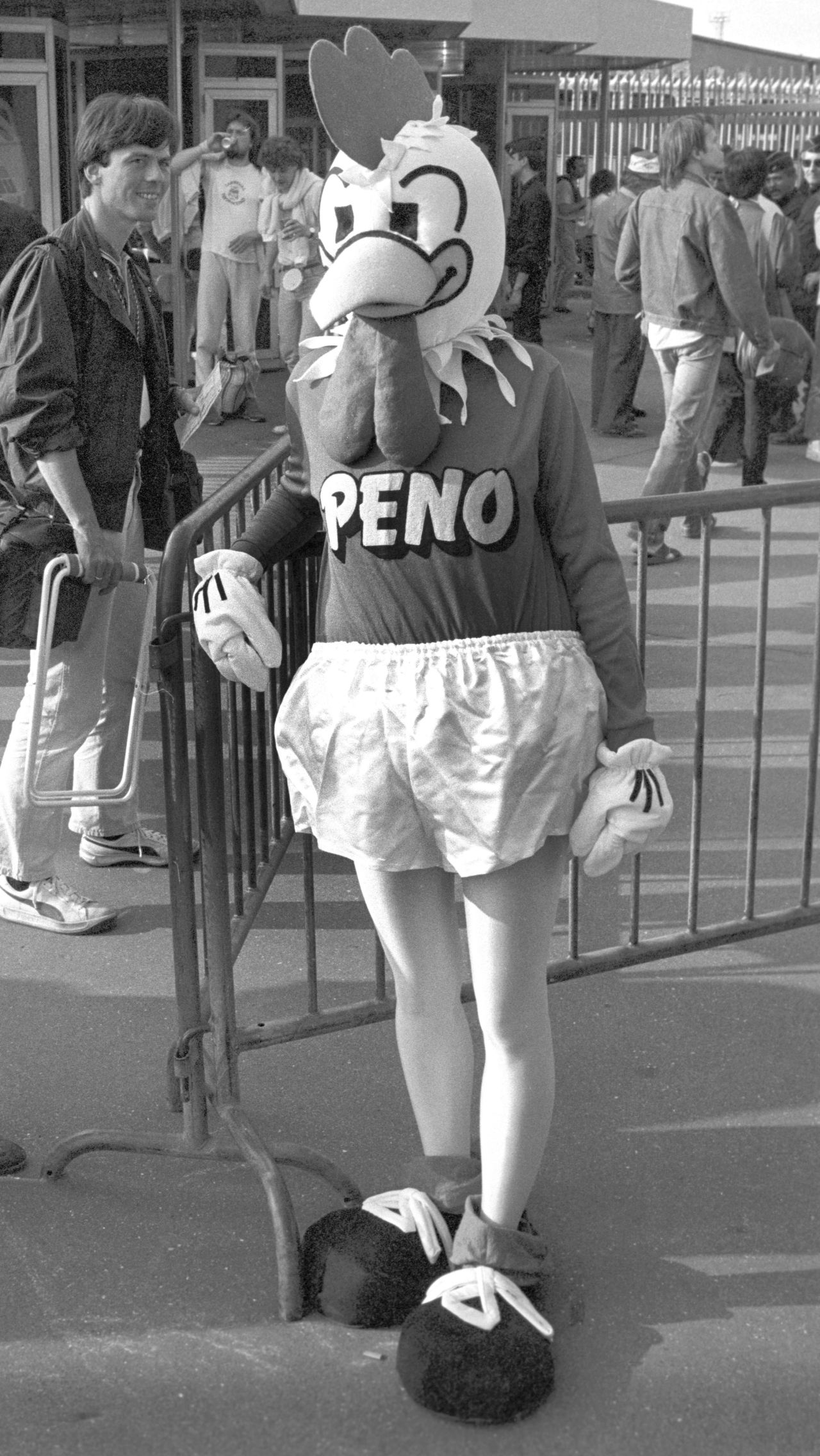 Евро-1984 во Франции – Пено