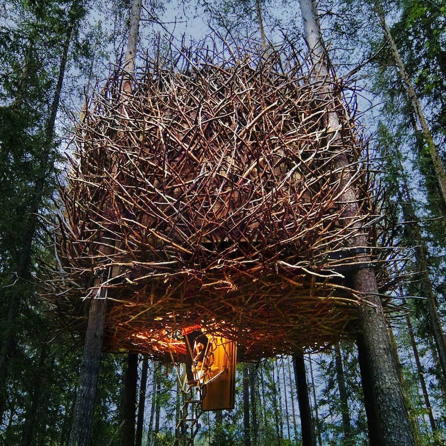 Хочу туди: скандинавський готель, де можна переночувати на дереві