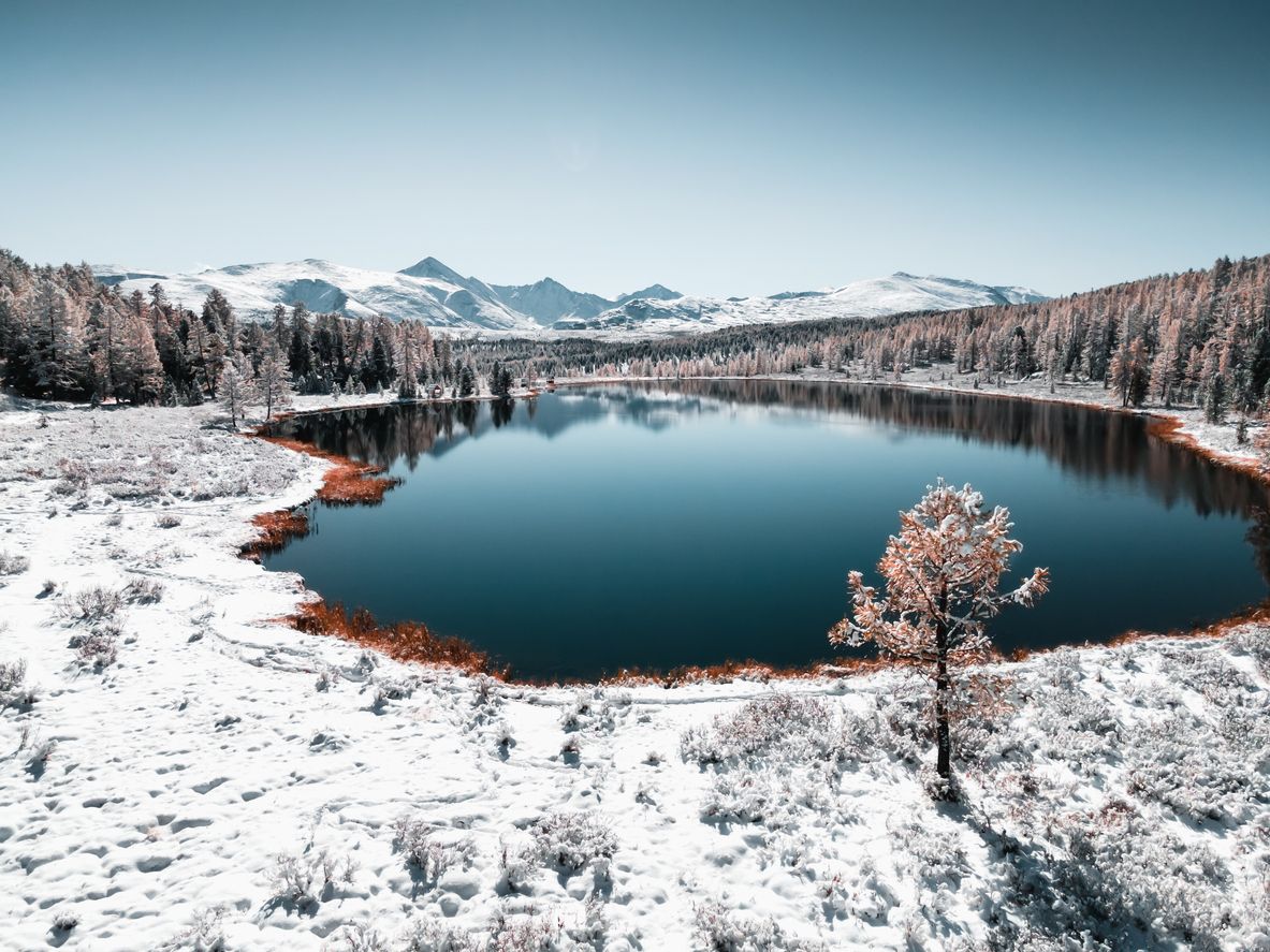 Алтай