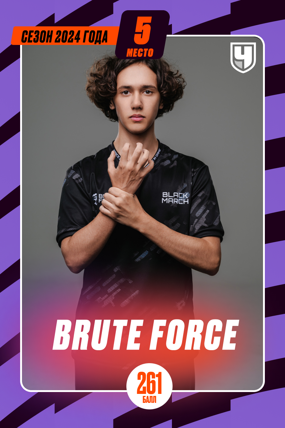 5-е место: Brute Force 5-е место: Brute Force
