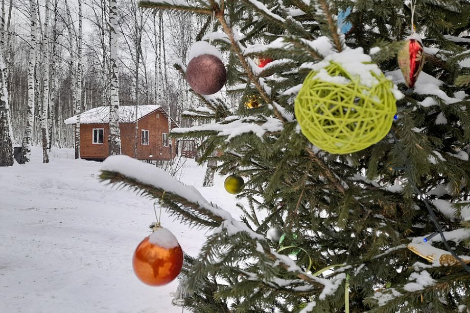 &laquo;Лосиный остров&raquo; 