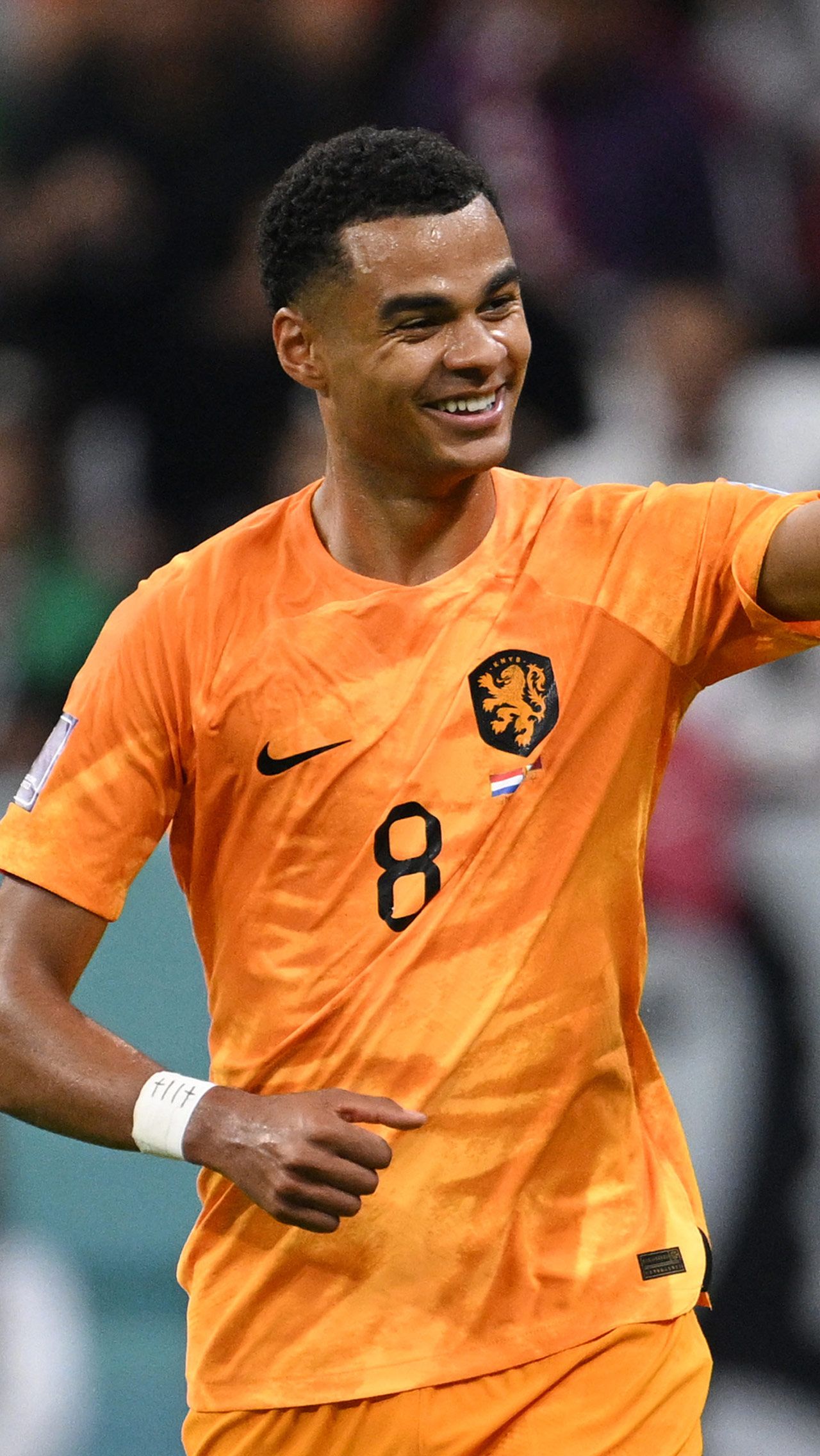 10. Нидерланды — Катар — 2:0 (группа)