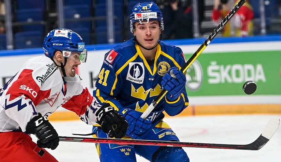 Дмитрий Тимашов в сборной Швеции