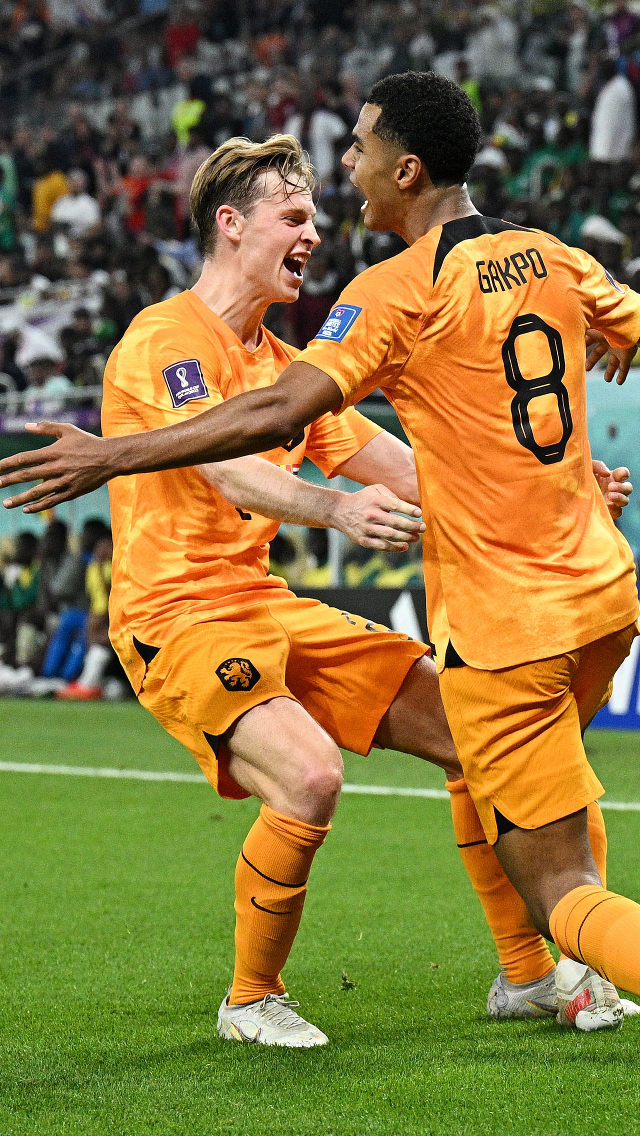 8. ЧМ-2022. Нидерланды — Сенегал — 2:0 (группа)