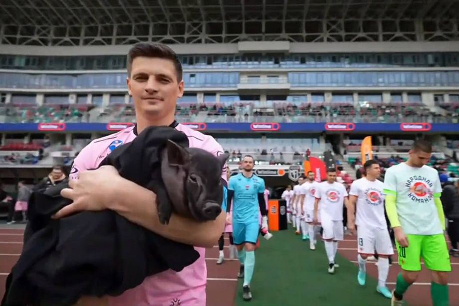Живой поросёнок на матче с фанатами «Спартака» Живой поросёнок на матче с фанатами «Спартака»