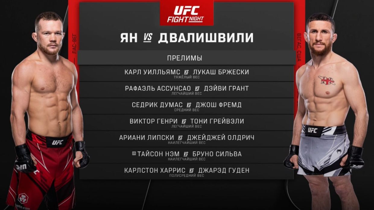 UFC: Пётр Ян — Мераб Двалишвили, результаты боёв Волков — Романов, кто  победил, видео - Чемпионат