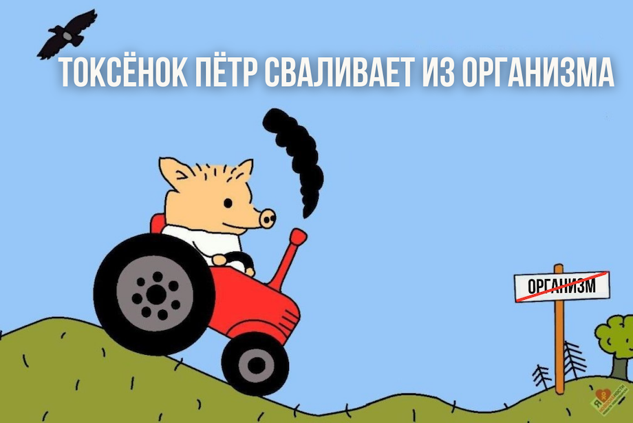 что надо знать о зож. Смотреть фото что надо знать о зож. Смотреть картинку что надо знать о зож. Картинка про что надо знать о зож. Фото что надо знать о зож
