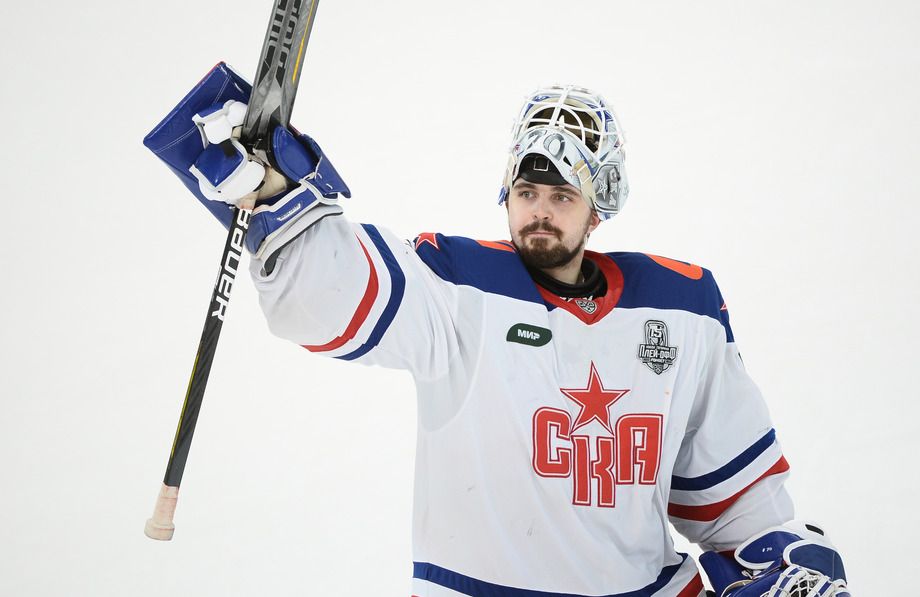 Дмитрий Николаев