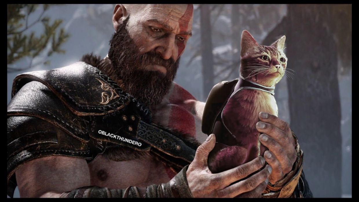 Создатель God of War одобрил коллаборацию с котиком из Stray - Чемпионат