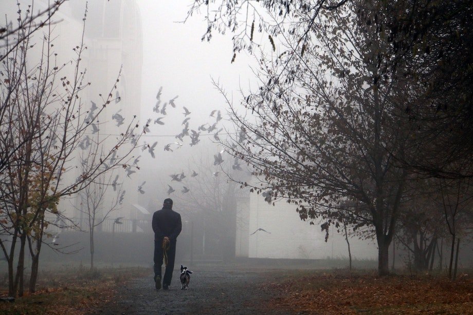 тренировки в жару и ненастье. Смотреть фото тренировки в жару и ненастье. Смотреть картинку тренировки в жару и ненастье. Картинка про тренировки в жару и ненастье. Фото тренировки в жару и ненастье тренировки в жару и ненастье. Смотреть фото тренировки в жару и ненастье. Смотреть картинку тренировки в жару и ненастье. Картинка про тренировки в жару и ненастье. Фото тренировки в жару и ненастье