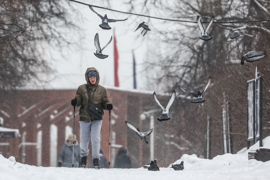 &laquo;Северное Тушино&raquo;