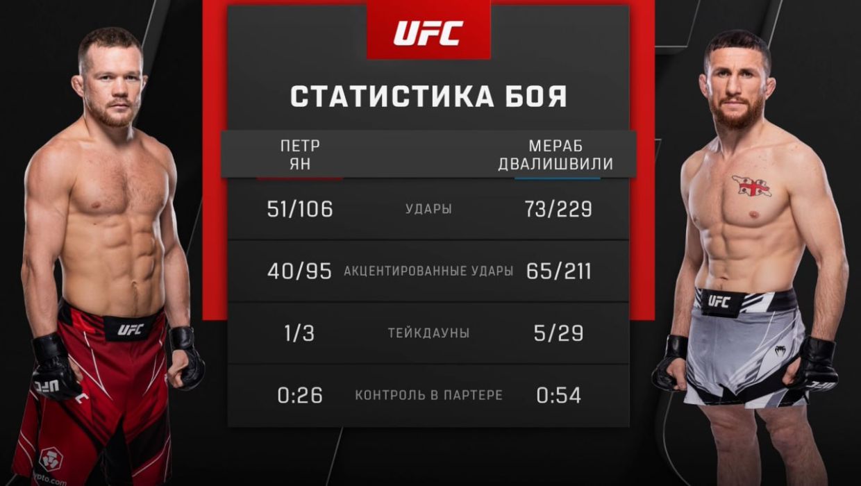 UFC: Пётр Ян — Мераб Двалишвили, результаты боёв Волков — Романов, кто  победил, видео - Чемпионат