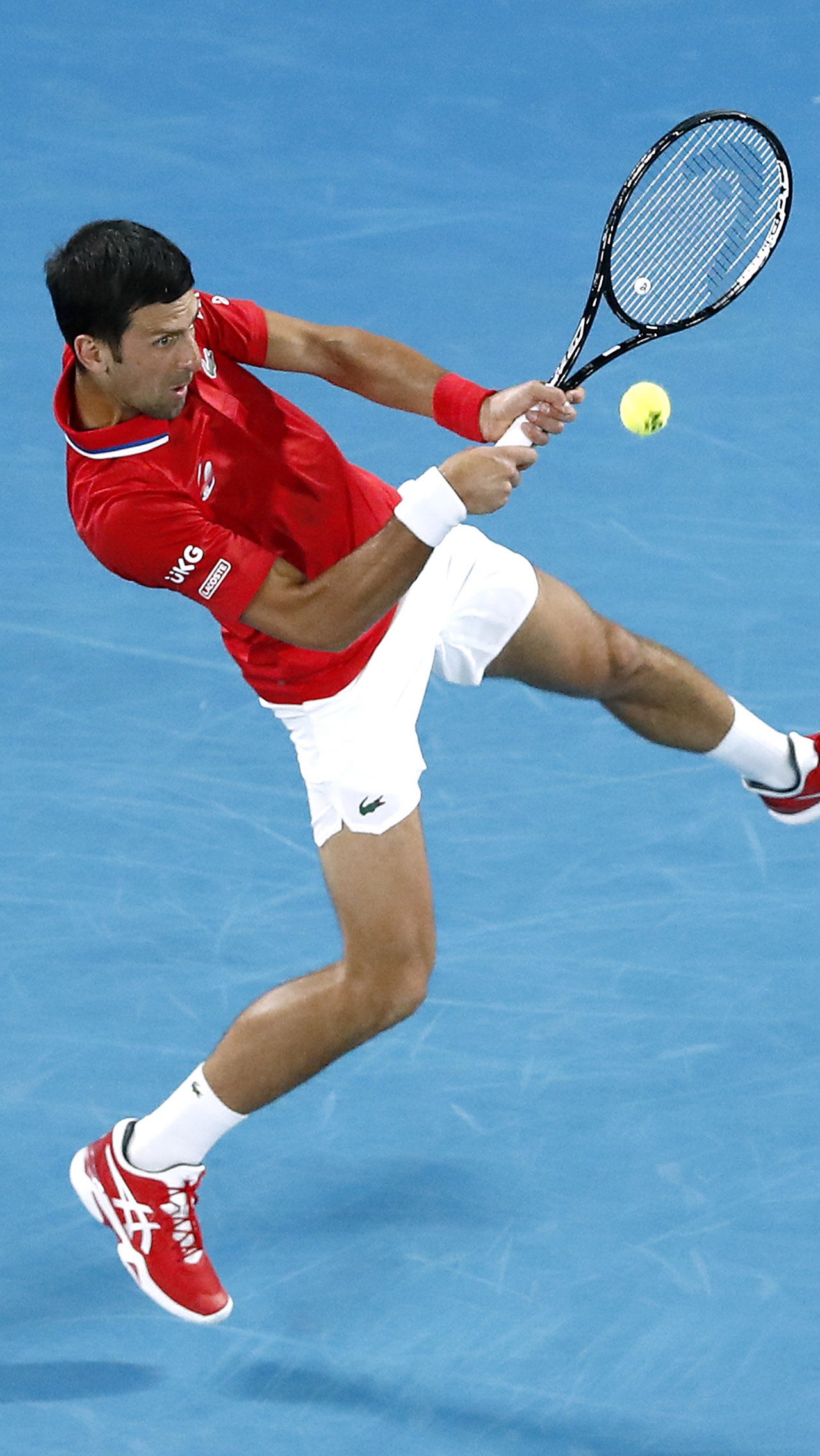 На AO статистика серба — 82-8, на Кубке ATP — 8-0, на турнире в Аделаиде — 5-0, в Сиднее — 2-1, в Брисбене — 0-1.