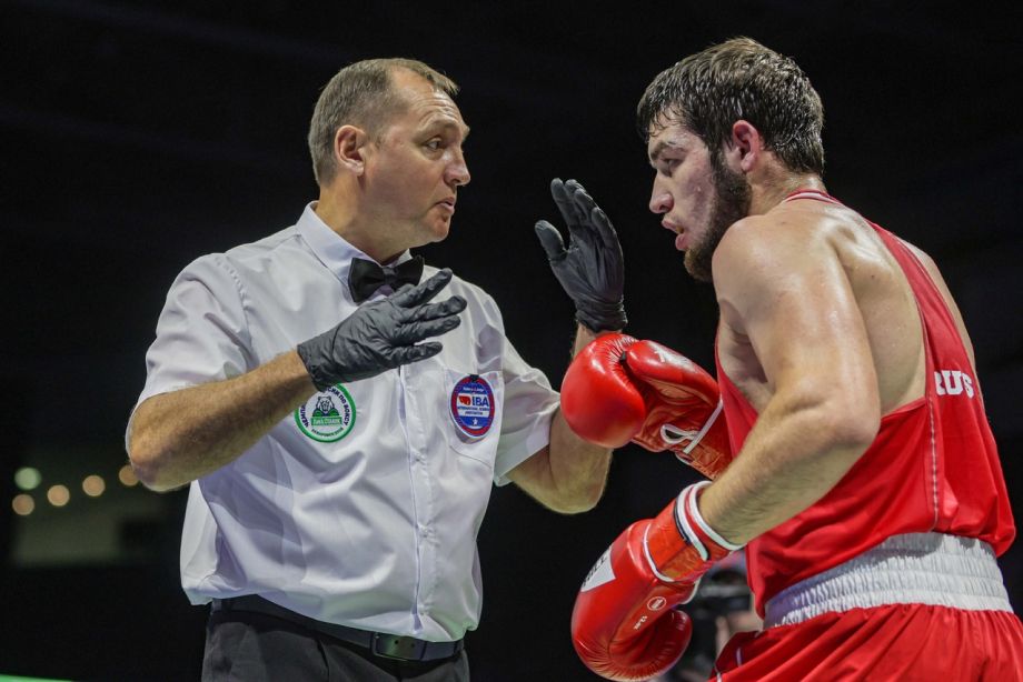 Волк боксер Чемпионат по боксу игрушка