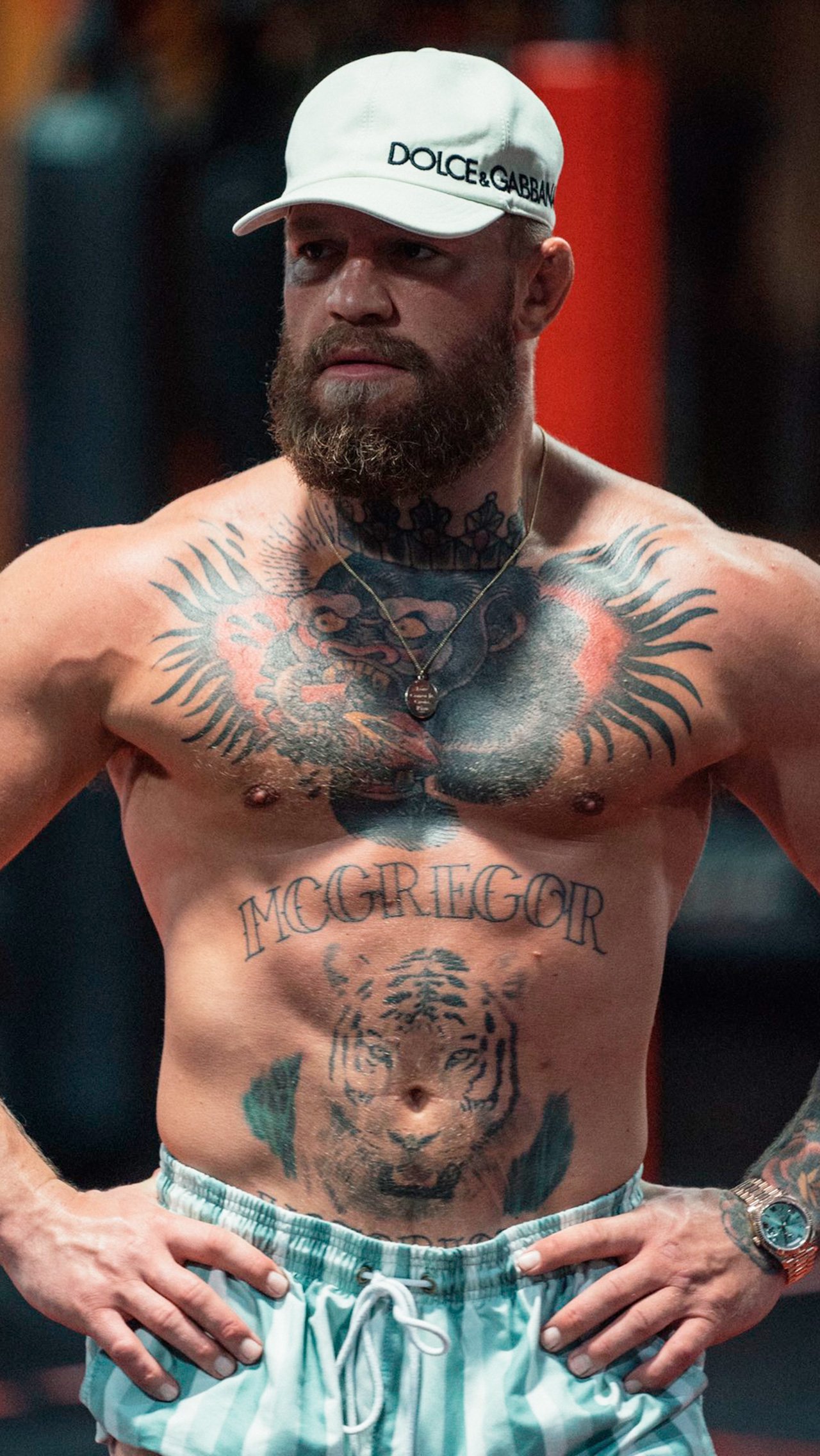 На животе Конора также есть татуировка тигра, а немного выше набита его фамилия. Но именно горилла является самым странным тату, отдающим дань уважения первому залу бойца.