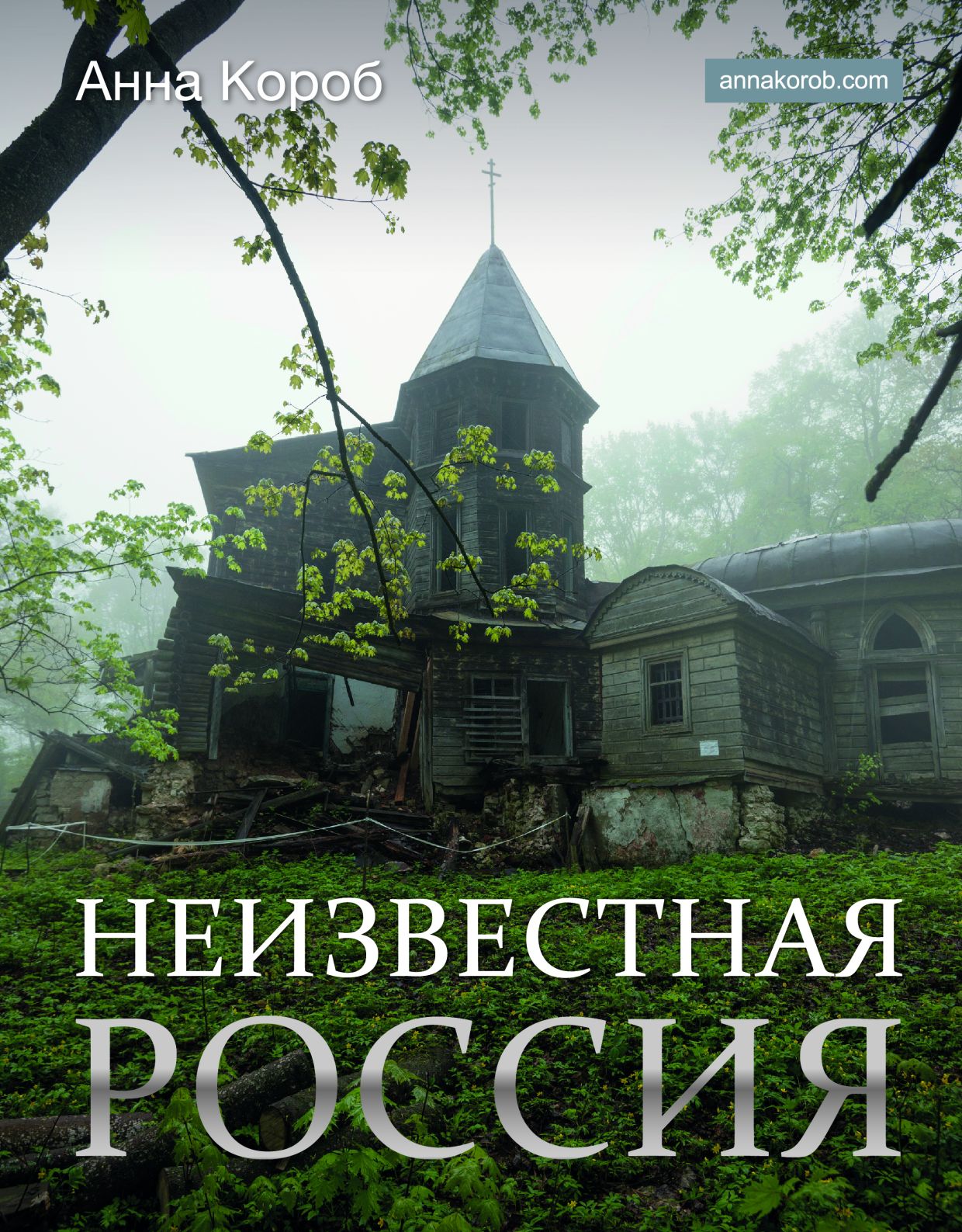 ТОП-10 книжных новинок: от философского эссе до системы осознанной жизни -  Чемпионат