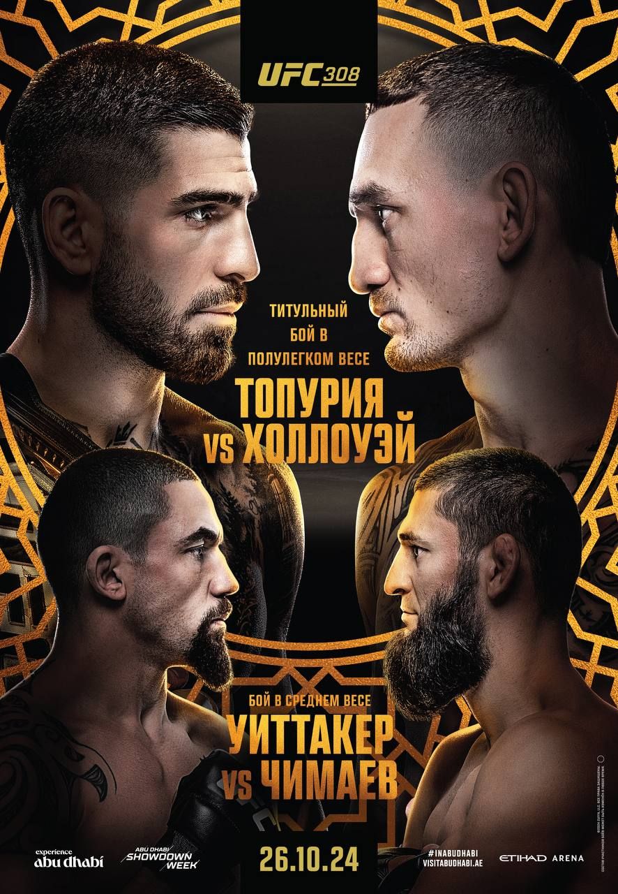 Официальный постер турнира UFC 308 Чемпионат