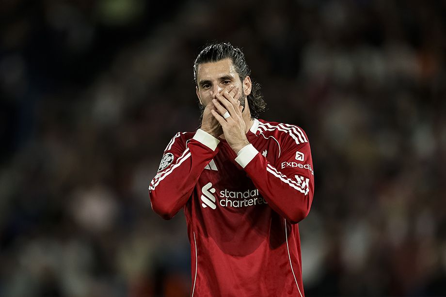 Доминик Собослаи