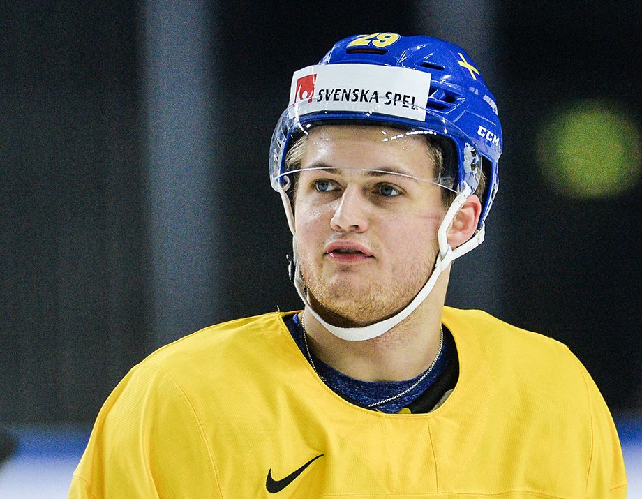 Вильям Нюландер