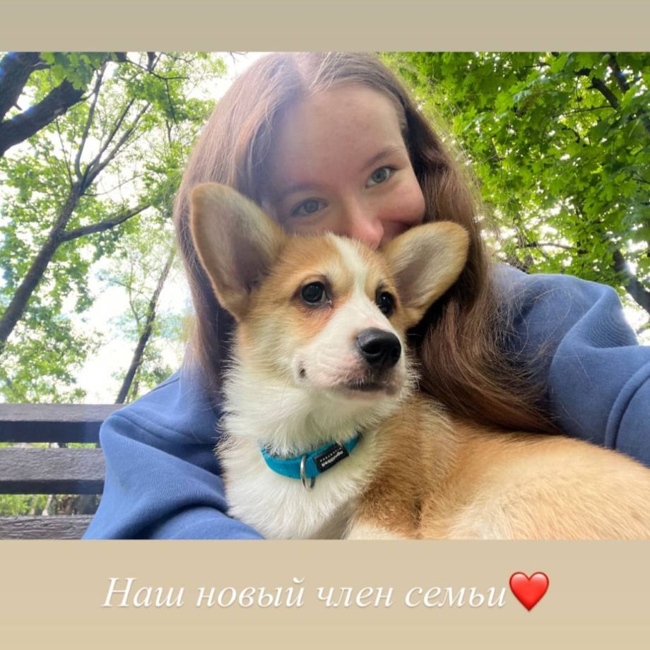 Дарья Садкова