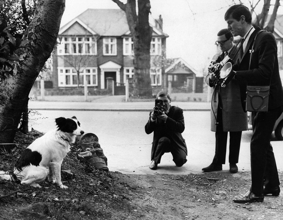 Пёс Пиклз нашёл пропавший Кубок Жюля Риме в 1966 году