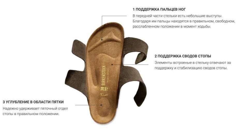 устройство стелек биркенштоков устройство стелек биркенштоков