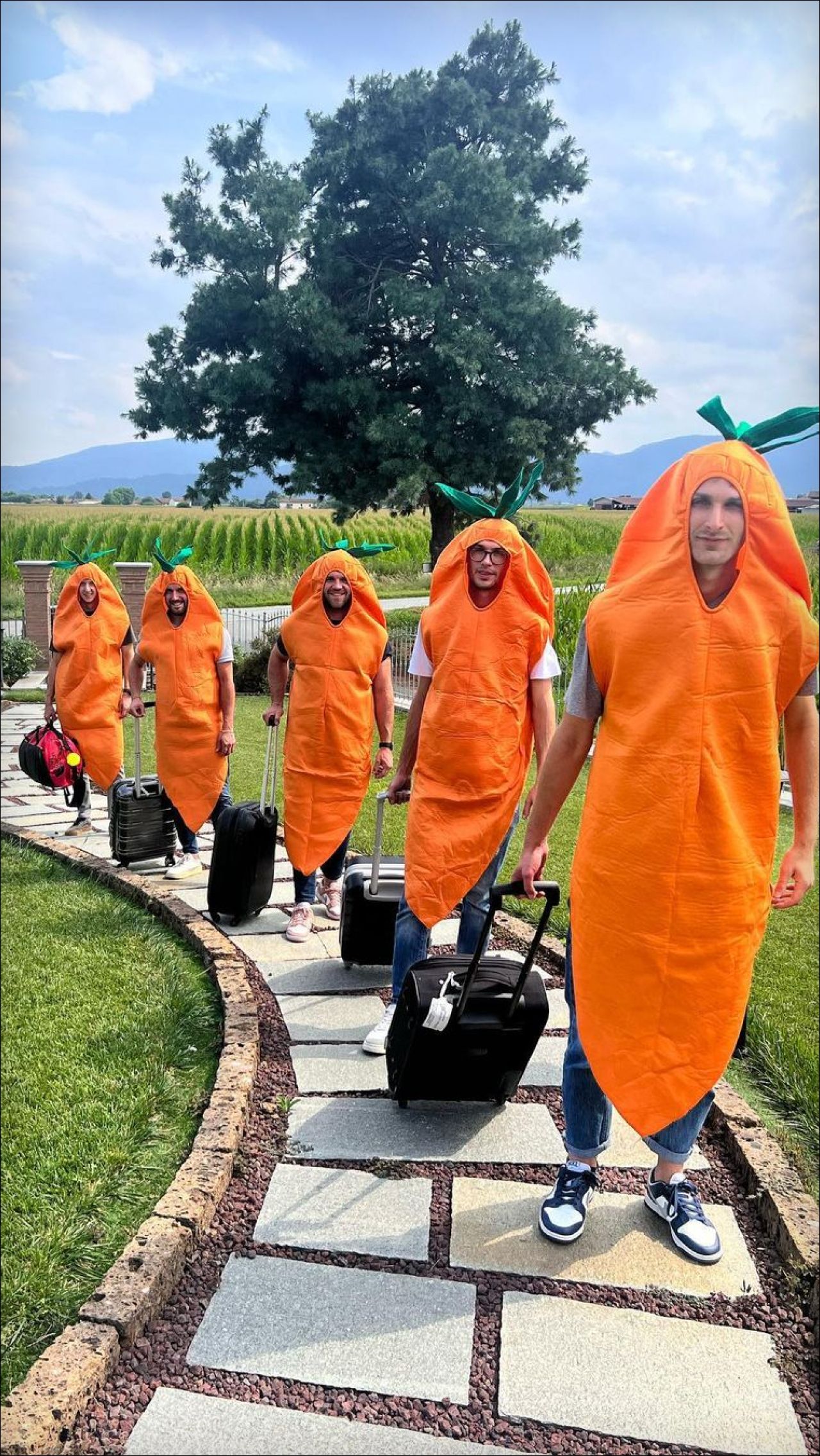 Морковки-путешественницы