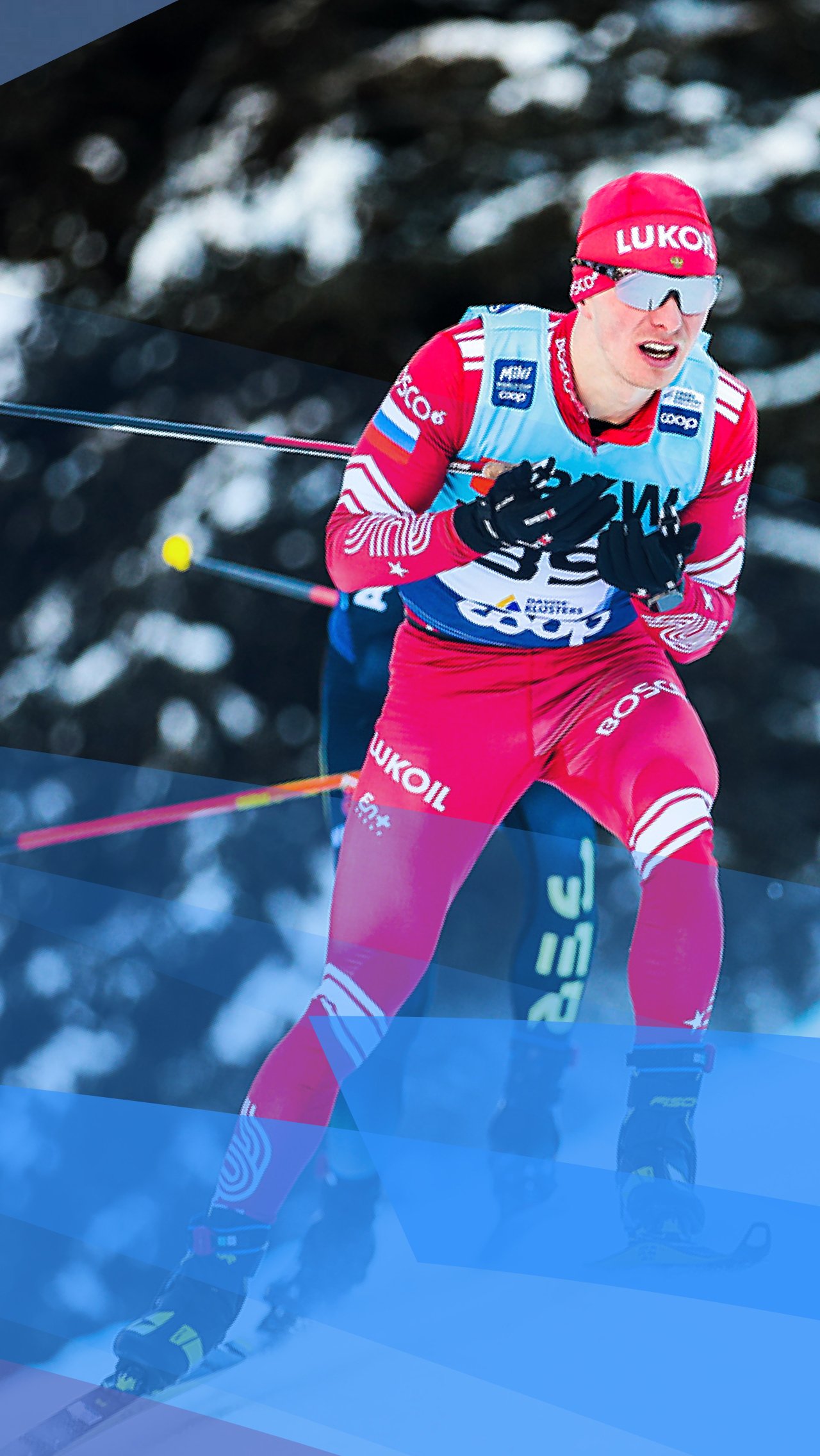 Вид спорта: лыжные гонки
