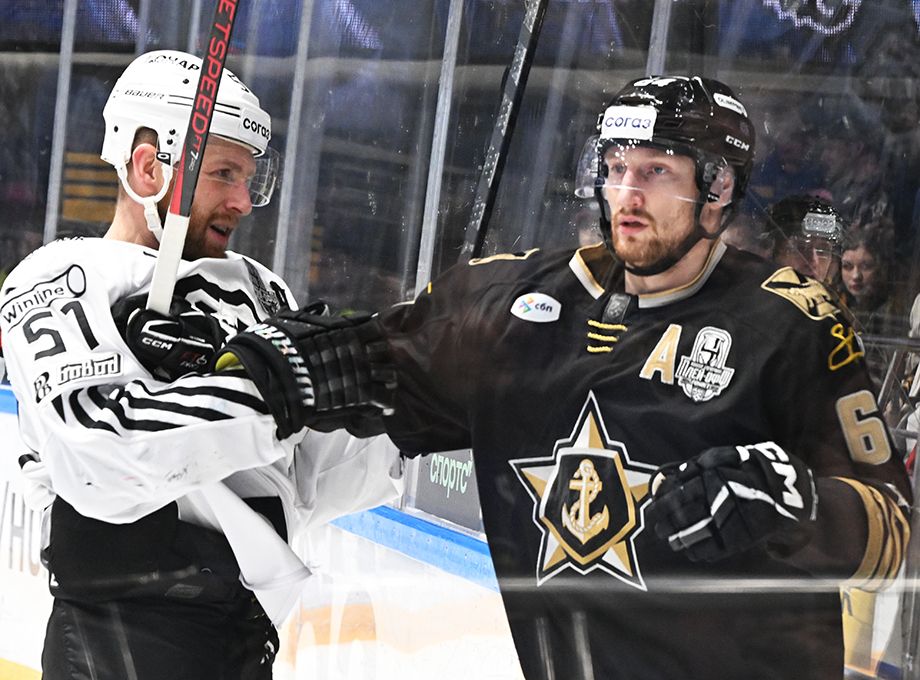 Аркадий Шестаков