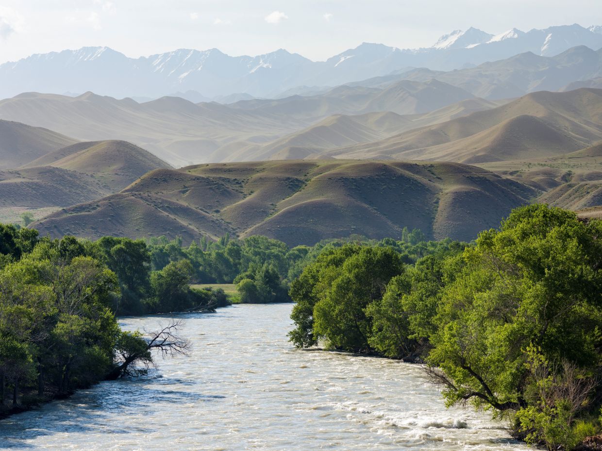 Природа кыргызстана картинки