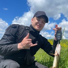 Виталий Сотников