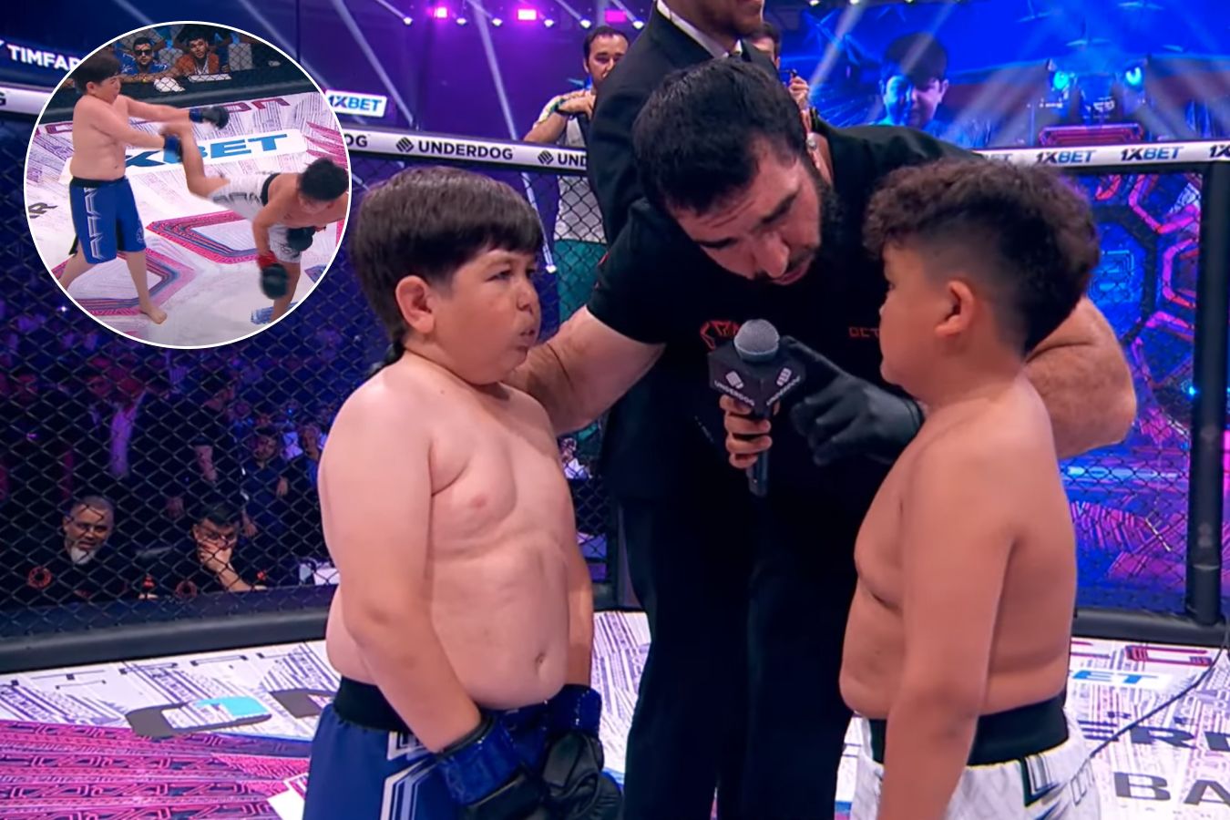 Бои между карликами