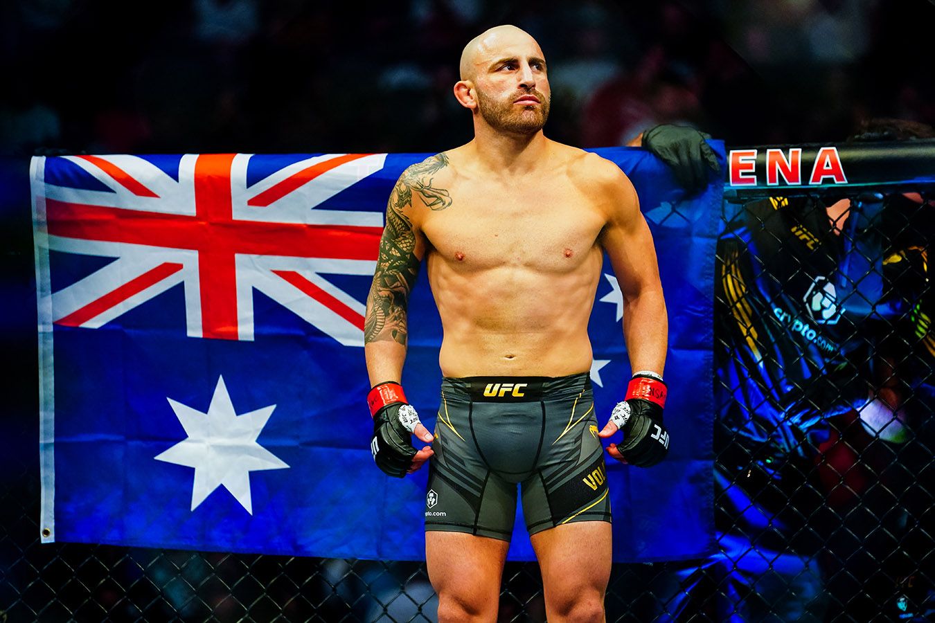 Волкановски намекнул на возможное жульничество Махачева на турнире UFC 284