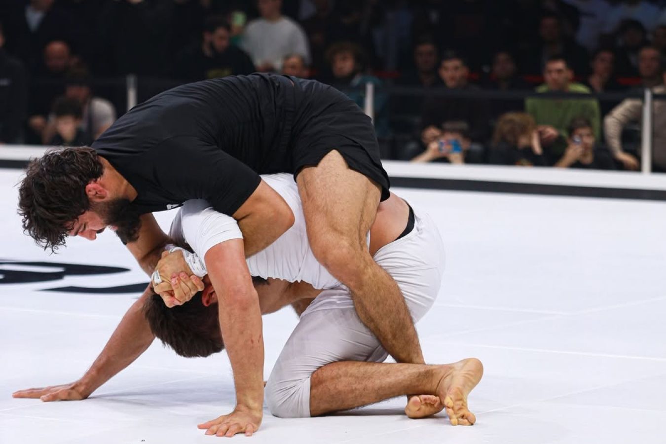 Почему грэпплинг неинтересен болельщикам?