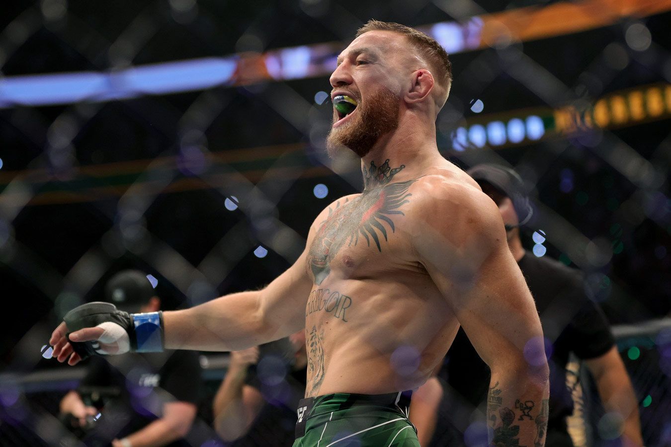 Экс-чемпион UFC Конор Макгрегор покатался верхом на коне. Фото