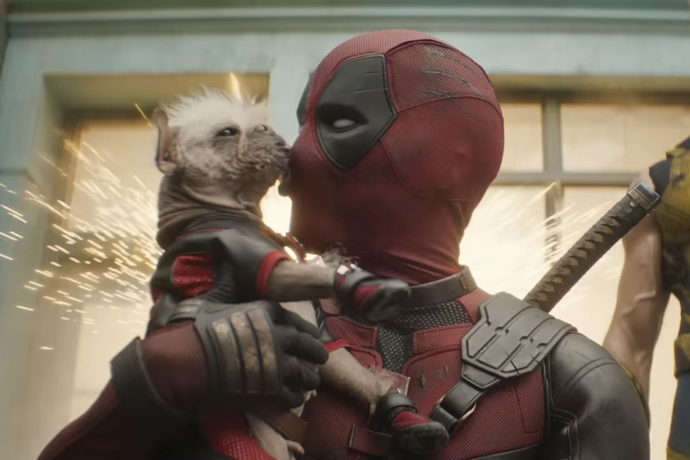 Пес из дэдпула и росомахи. Пес из дэдпула и росомахи. Пес из дэдпула и росомахи. Собака из дэдпула. Пес из дэдпула и росомахи.