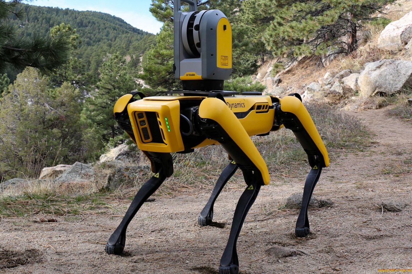 Boston Dynamics подала в суд на плагиаторов роботов-собак